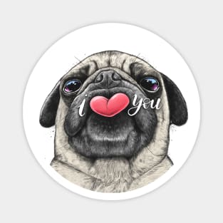 Pug loves you Magnet